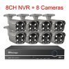 8CH NVR and 8 Camera