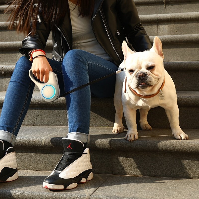 Smart Retractable Leash with Light