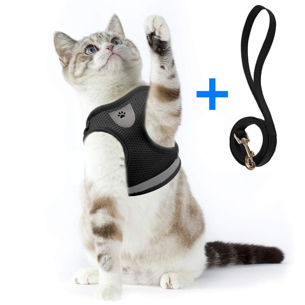 Reflective Breathable Harness